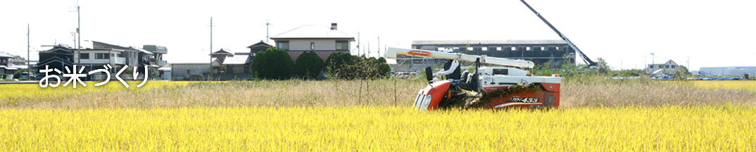 ���ĂÂ���