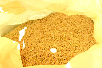 ���ĂÂ���